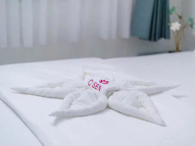 Combo 3 ngày 2 đêm Khách sạn Osen