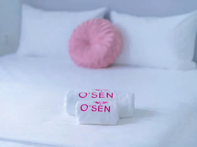 Combo 3 ngày 2 đêm Khách sạn Osen