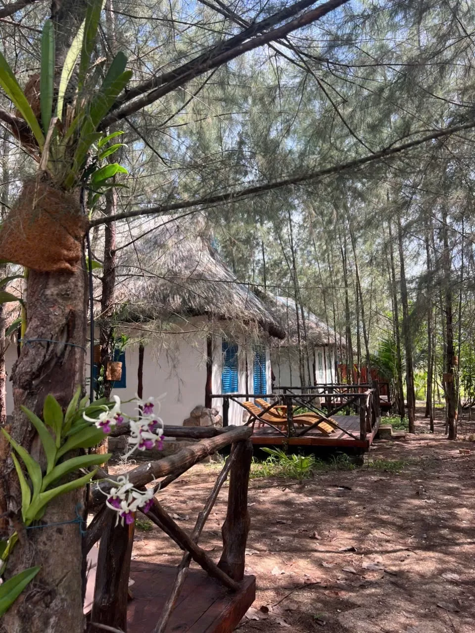 Combo 3 Ngày 2 Đêm tại Làng Chài Hàm Ninh + Tặng vé Đồi Nam Châm