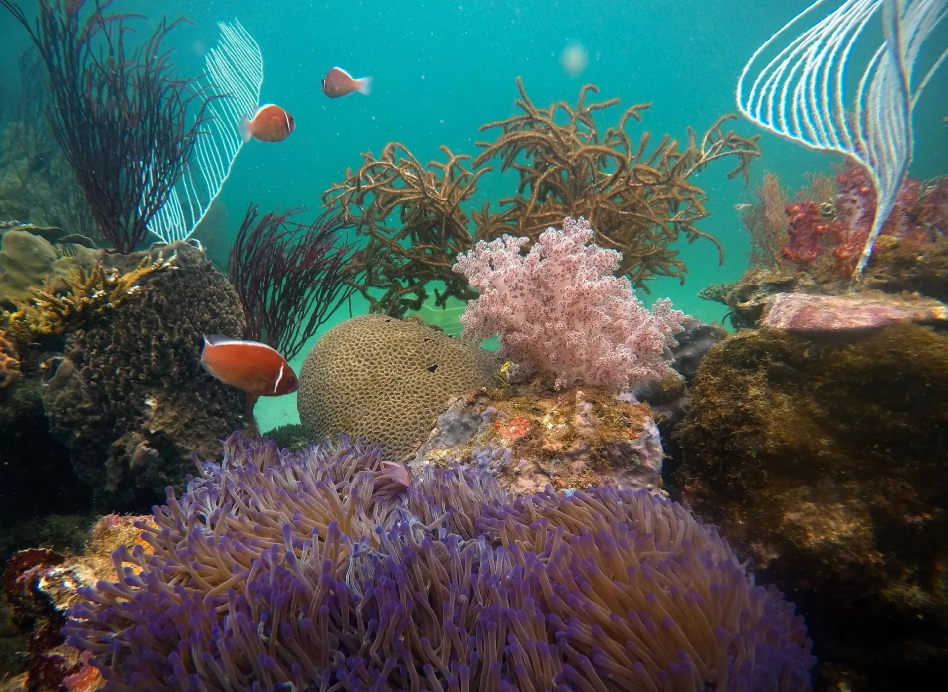 Tour Experience Diving Task